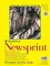 50 Sheets Newsprint Paper Pad, Tape Bound, 14x17 inches, (32lb/52g) - Art Paper for Adults and Students - Practice Sketching with Charcoal, Graphite and Pencil